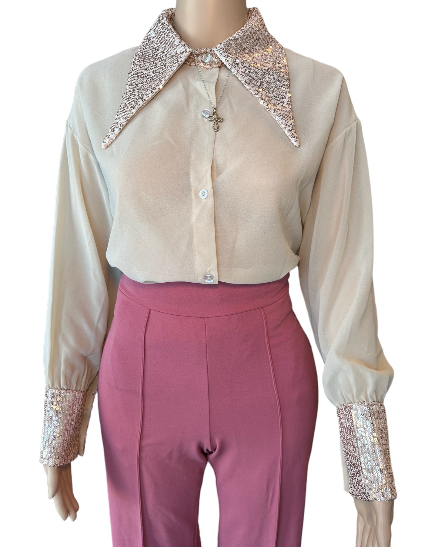 So sophisticated sheer blouse