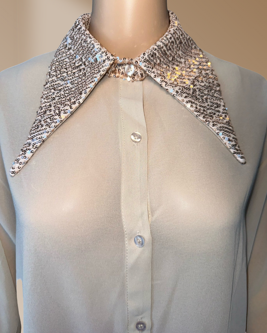 So sophisticated sheer blouse